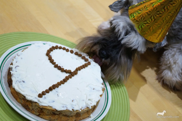 Dog Birthday Cake 