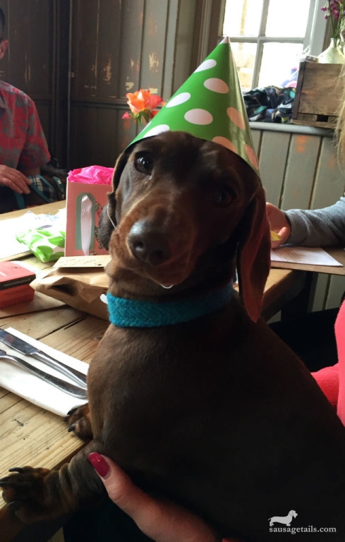 Sausage Dog Party Hats