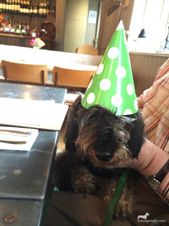 Sausage Dog Party Hat