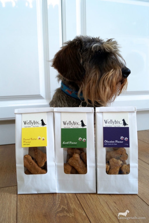 Wellybix Dog Biscuits