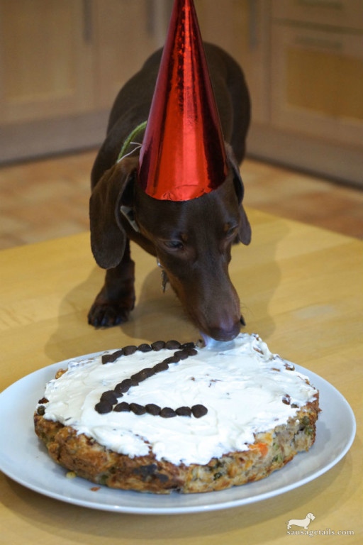 Sausage Dog Birthday Cake