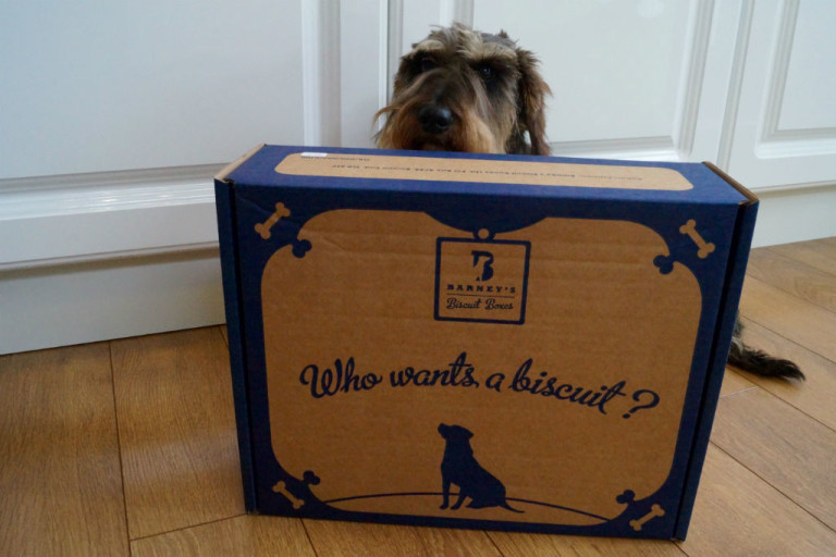 Barneys Biscuit Boxes
