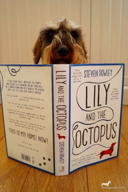 Lily And The Octopus Book