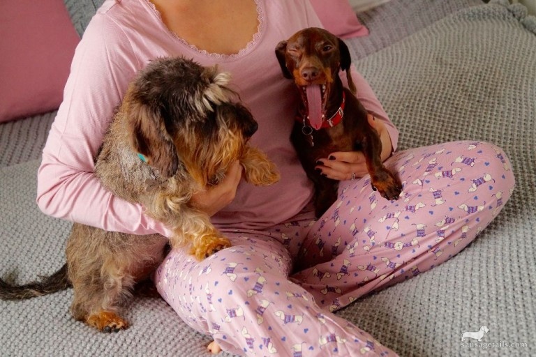 Marks & Spencer Sausage Dog Pyjamas