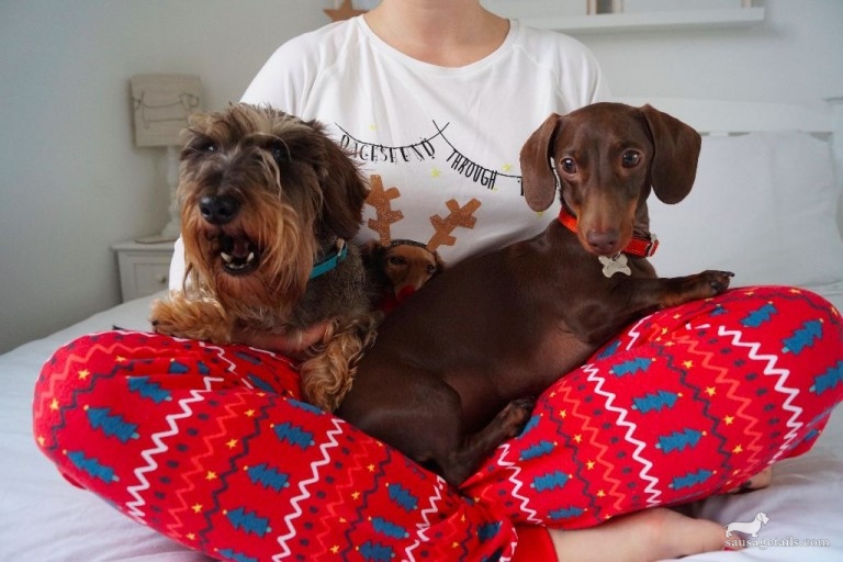 Marks & Spencer Christmas Sausage Dog Pyjamas