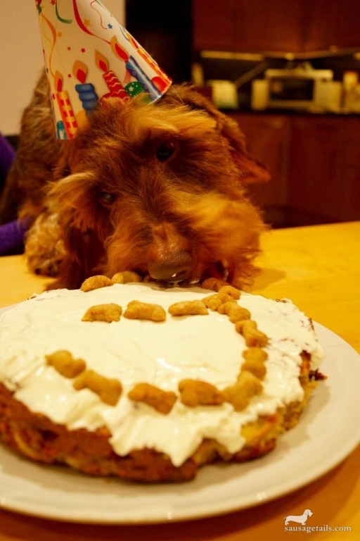 Lilys Kitchen Birthday Cake