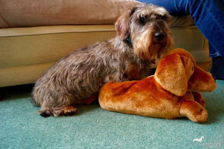 Sausage Dog Slippers