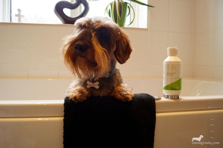 Serenity Pet Shampoo