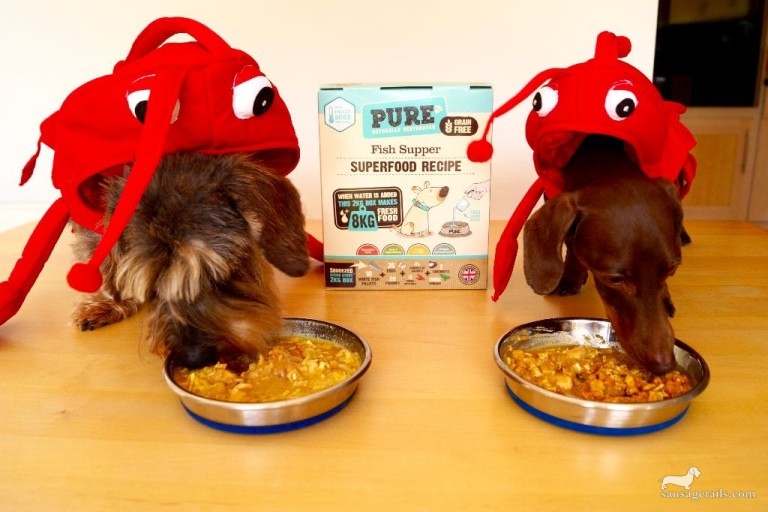 Pure Pet Food Review