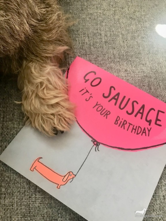 Sausage Dog Birthday Card